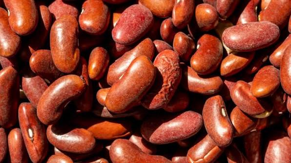 Kidney beans
